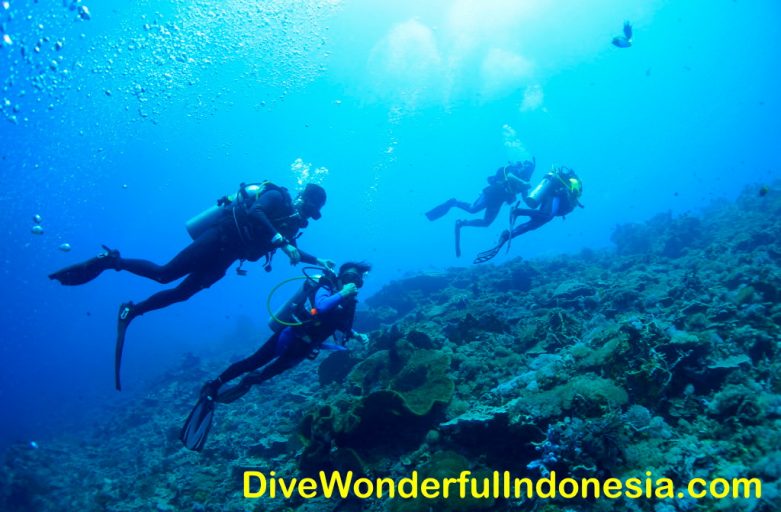 The Story of Our Scuba Diving